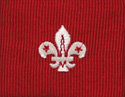 Assistant Scout Leaders