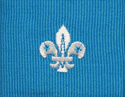 Group Scout Leader